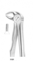  Fig. 13S lower premolars for children 